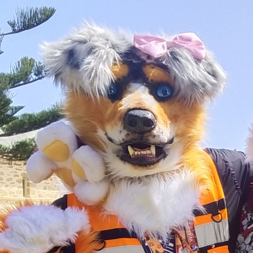 Lyra the Australian Shep 🐶🐾 & Volpex 🦊