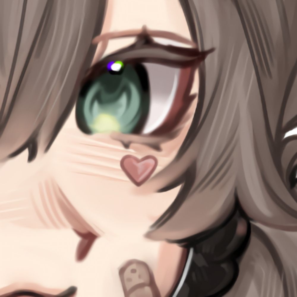 ._meiyo