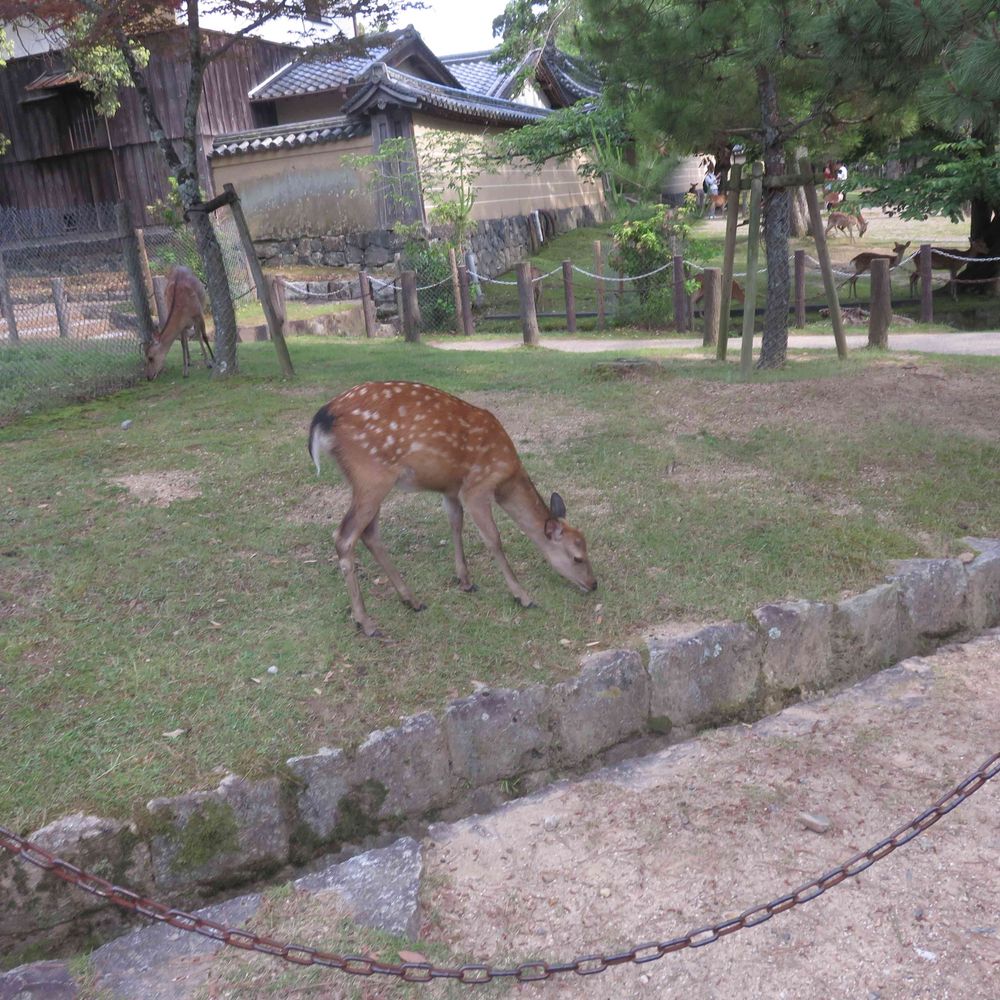ひろ