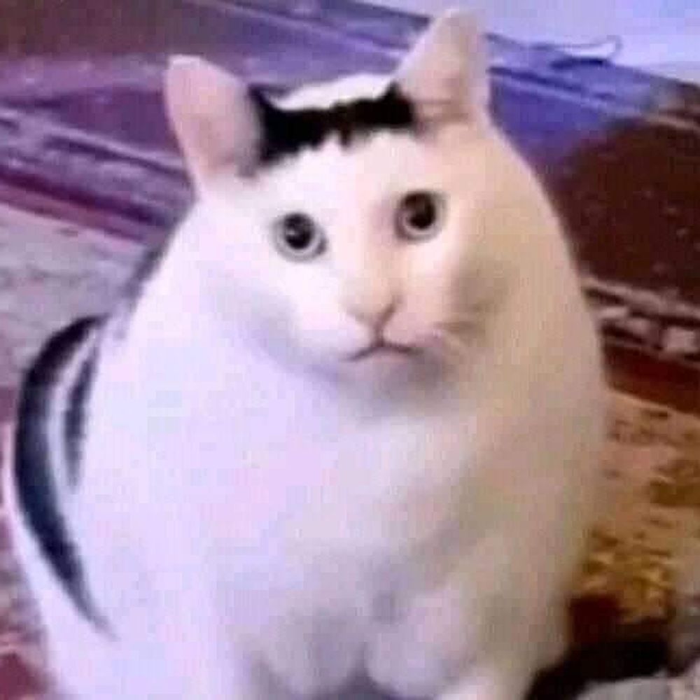 𝔻𝕦𝕟𝕔𝕒𝕟𝔻𝕖ℂ𝕙𝕠𝕚