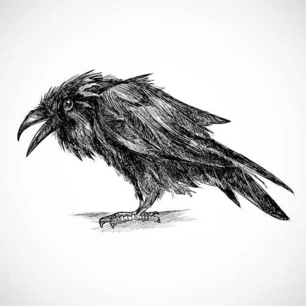 Ravenisawritingdesk