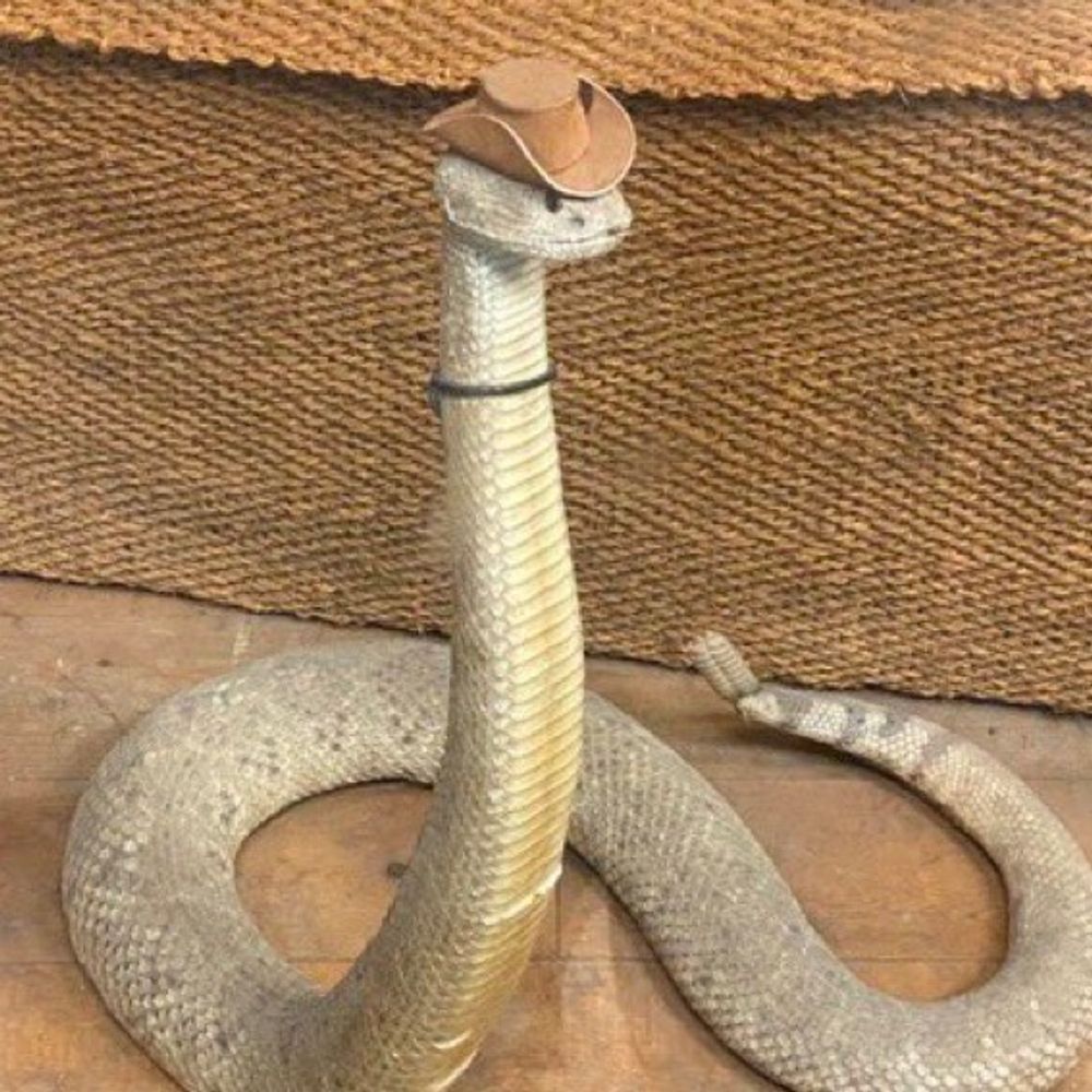 GlitchyCobra