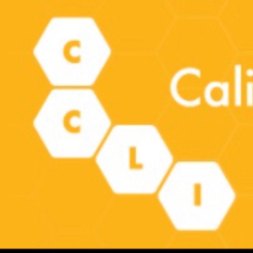 California Conference on Library Instruction