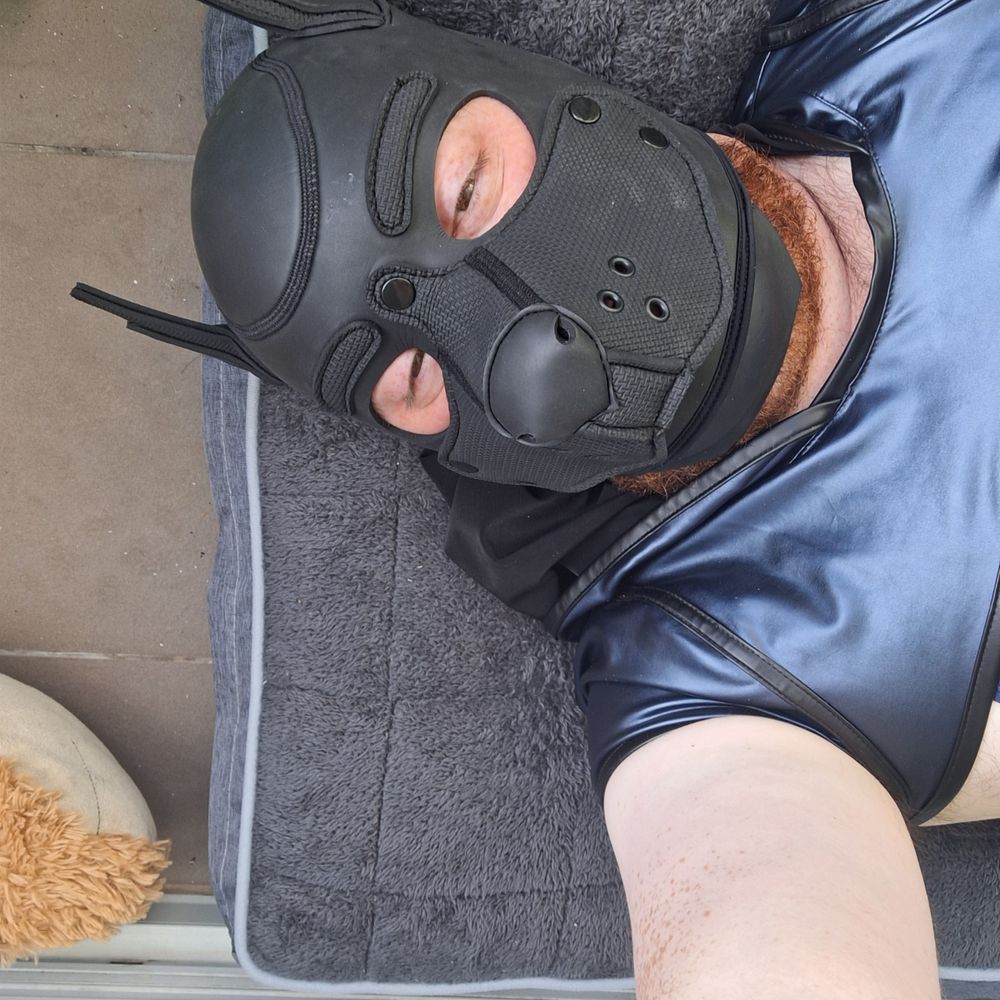 Demon-Wolf.bsky.social