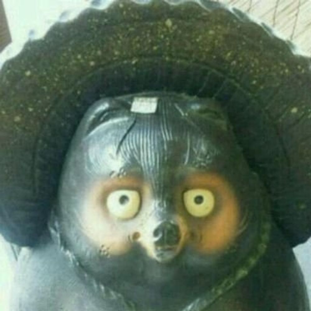 ぱめ