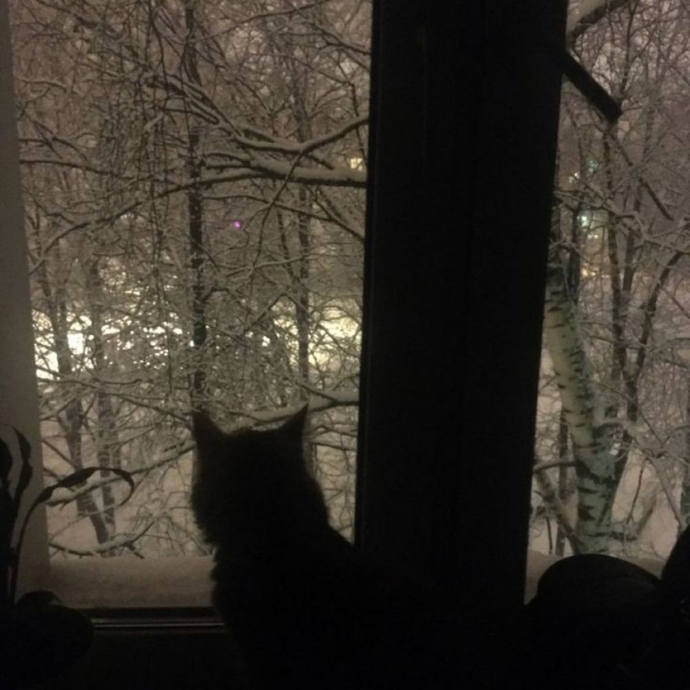sofia