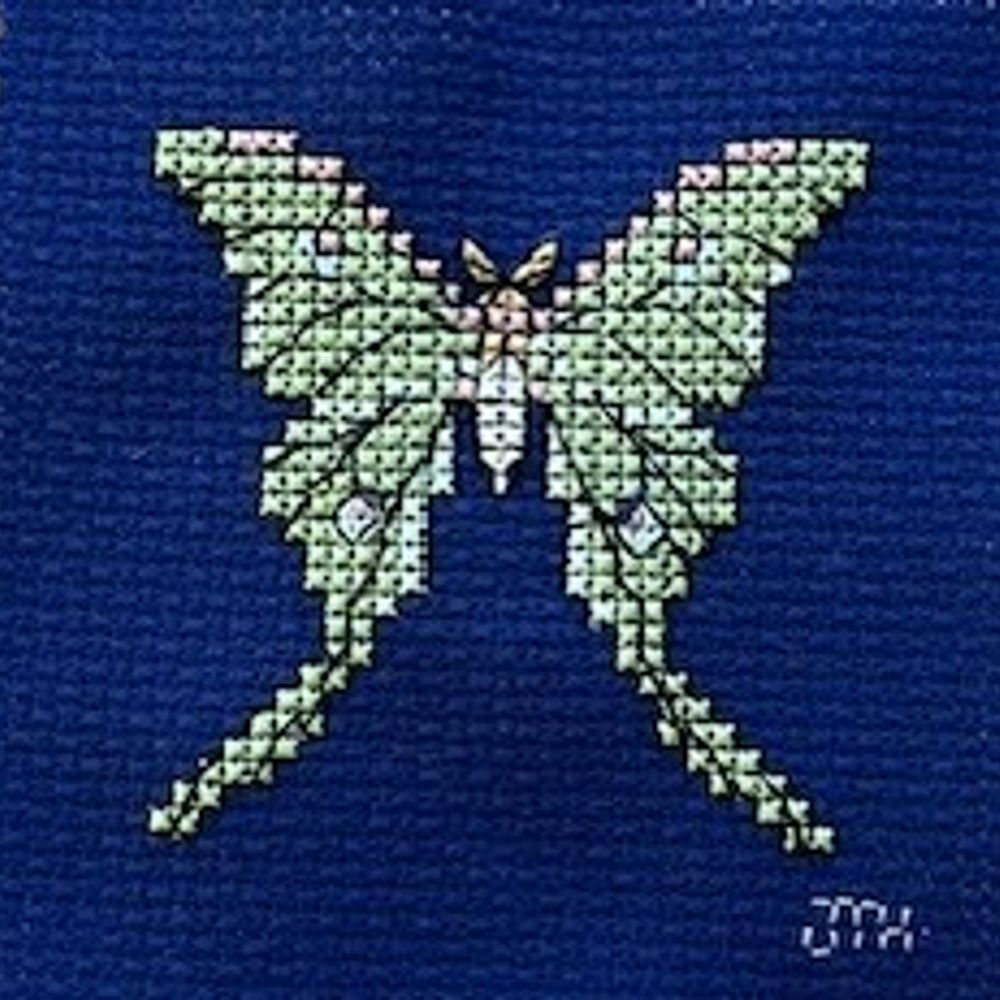 Jane Stitches