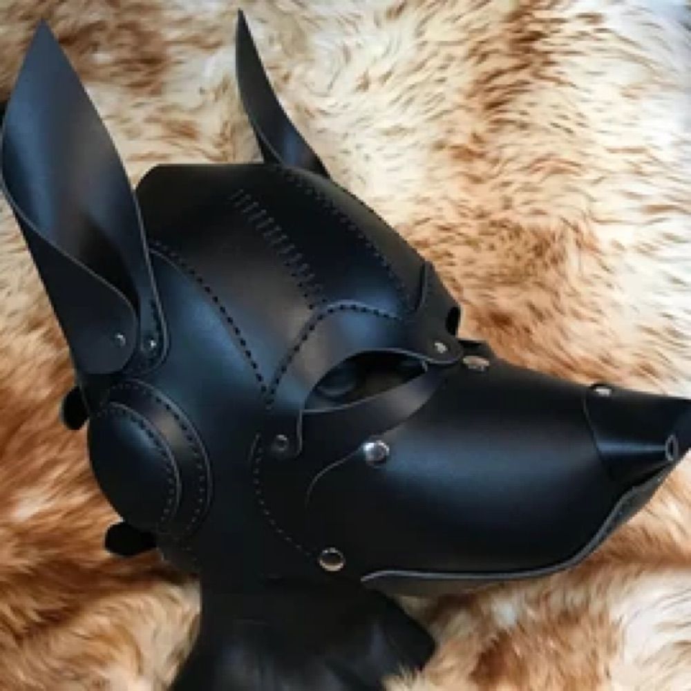 Pup Dominus