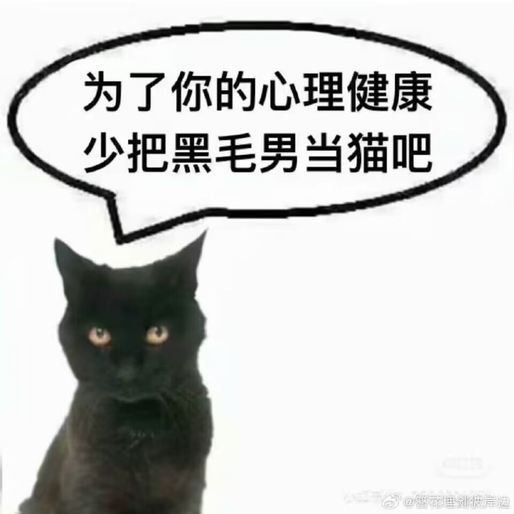 失落迷迭rosmay
