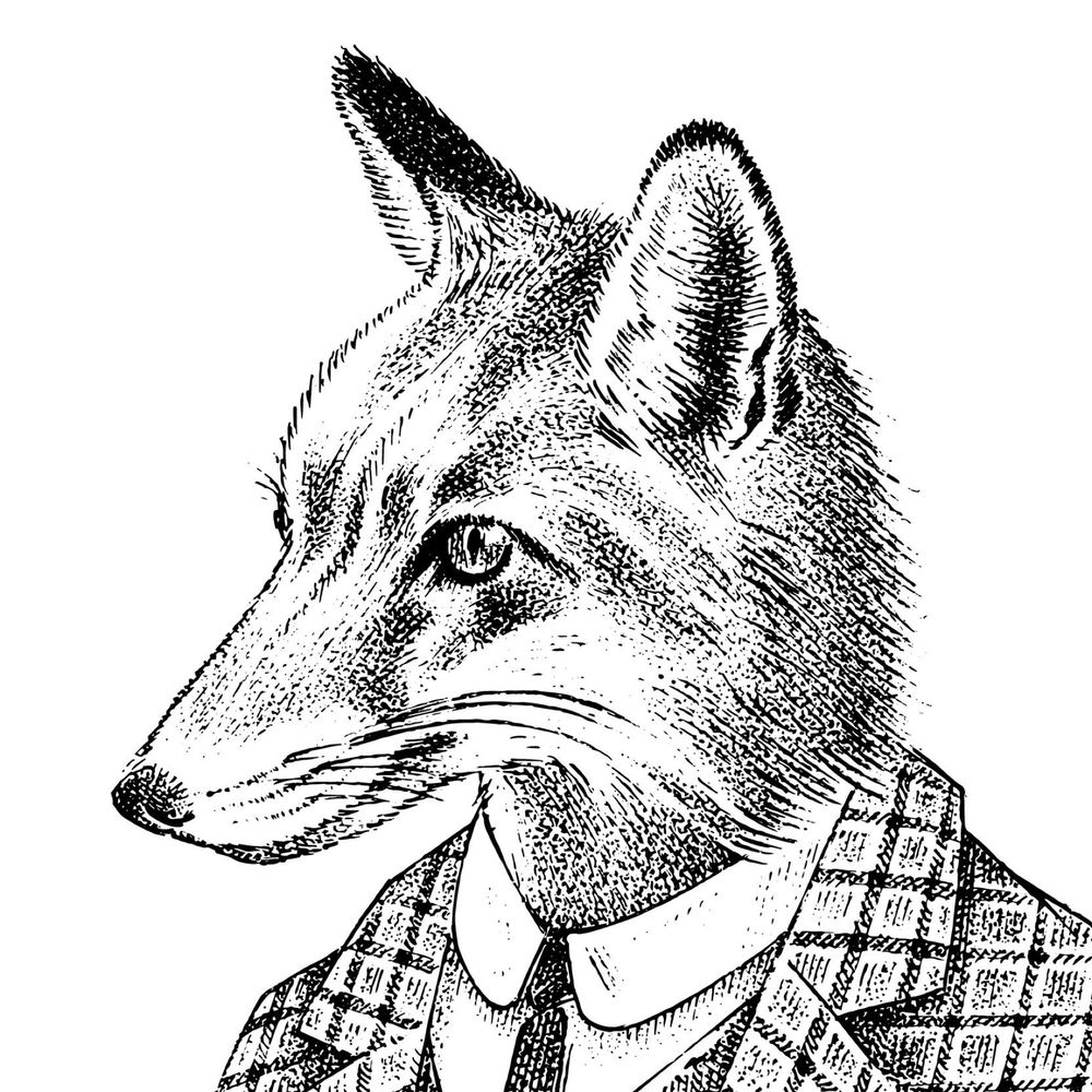 Guy Fox's avatar
