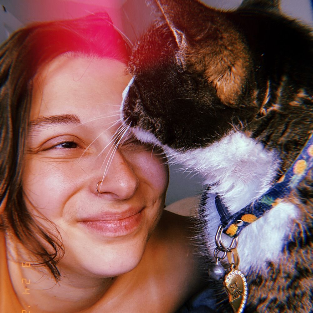 ellie ✨