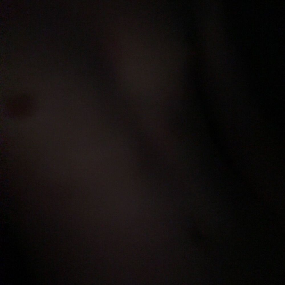Beltwink