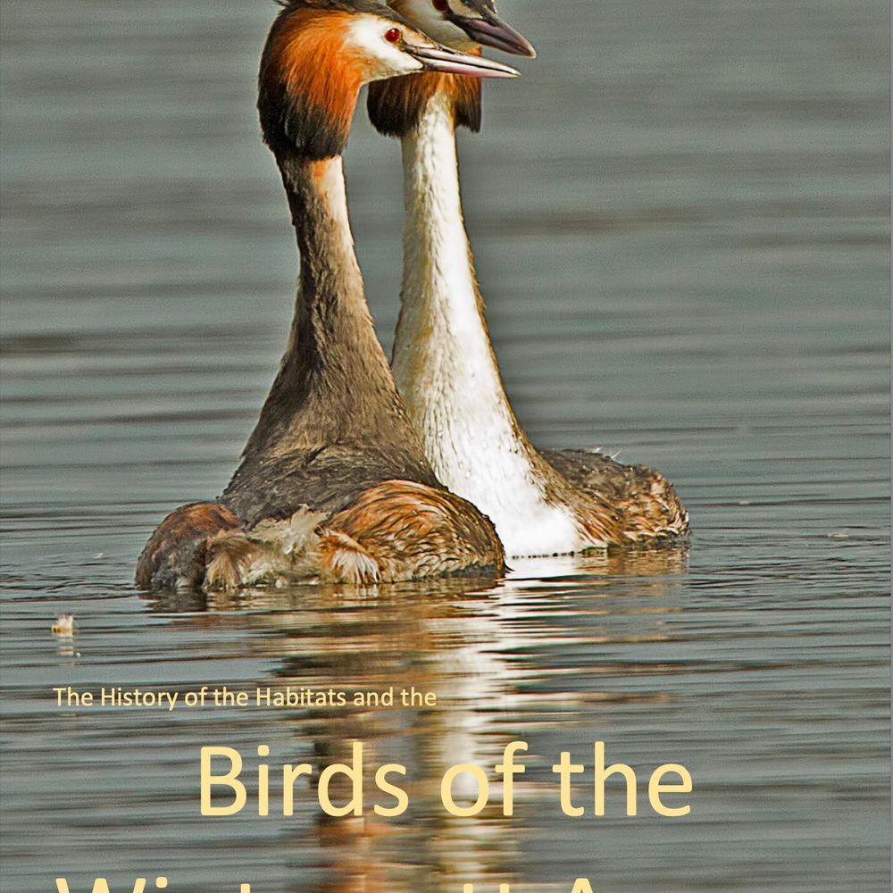 Birds of Wintersett