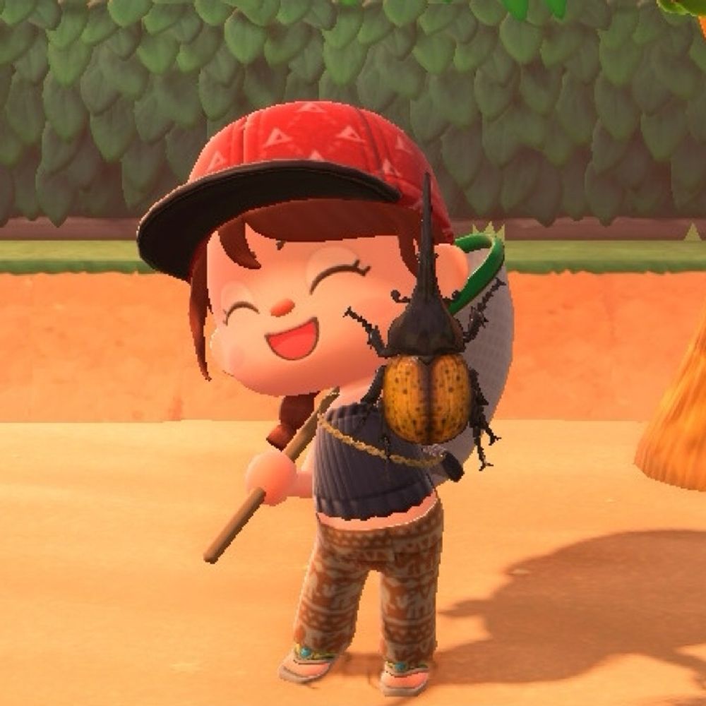 めめ。