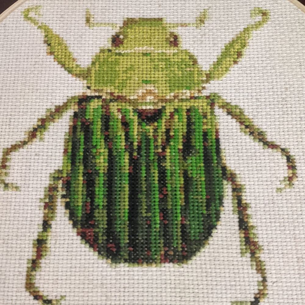 preposterous bug