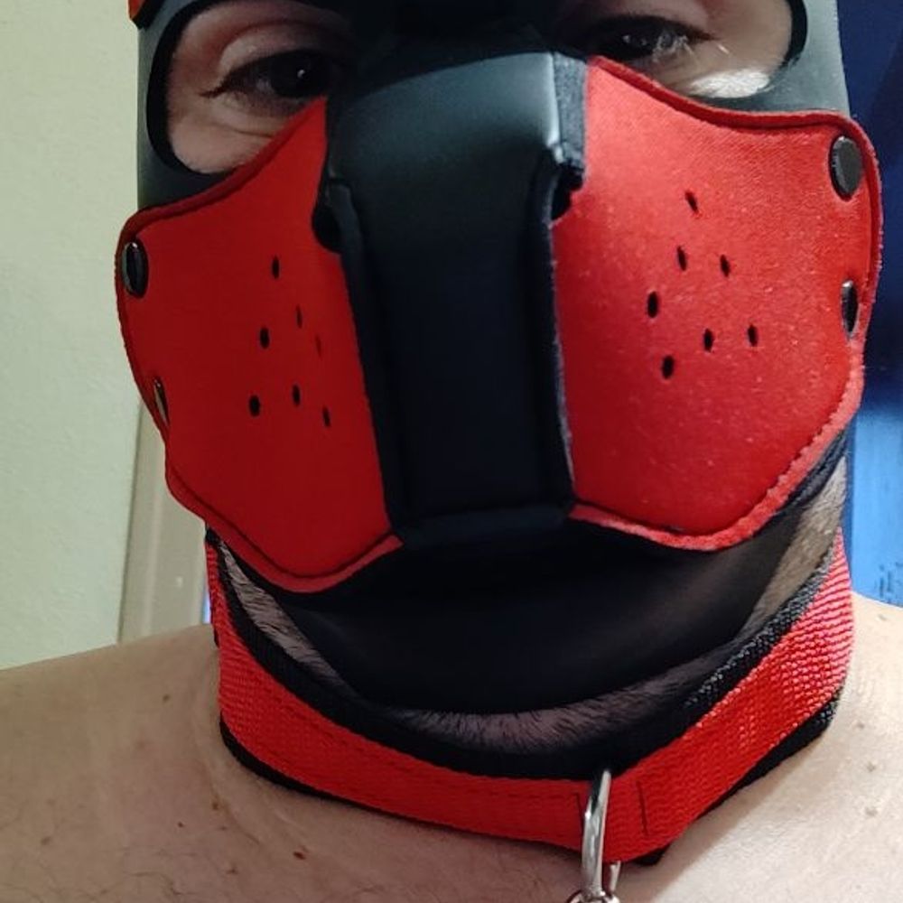 RedWolf on the darker side