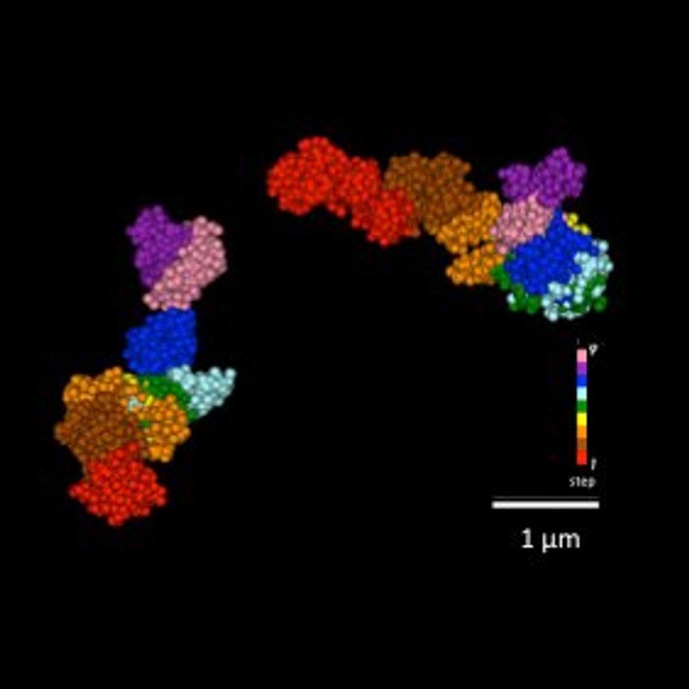 Ting Wu Lab