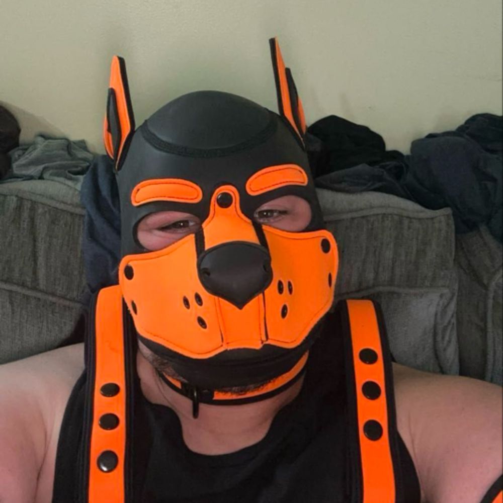Pup Draco