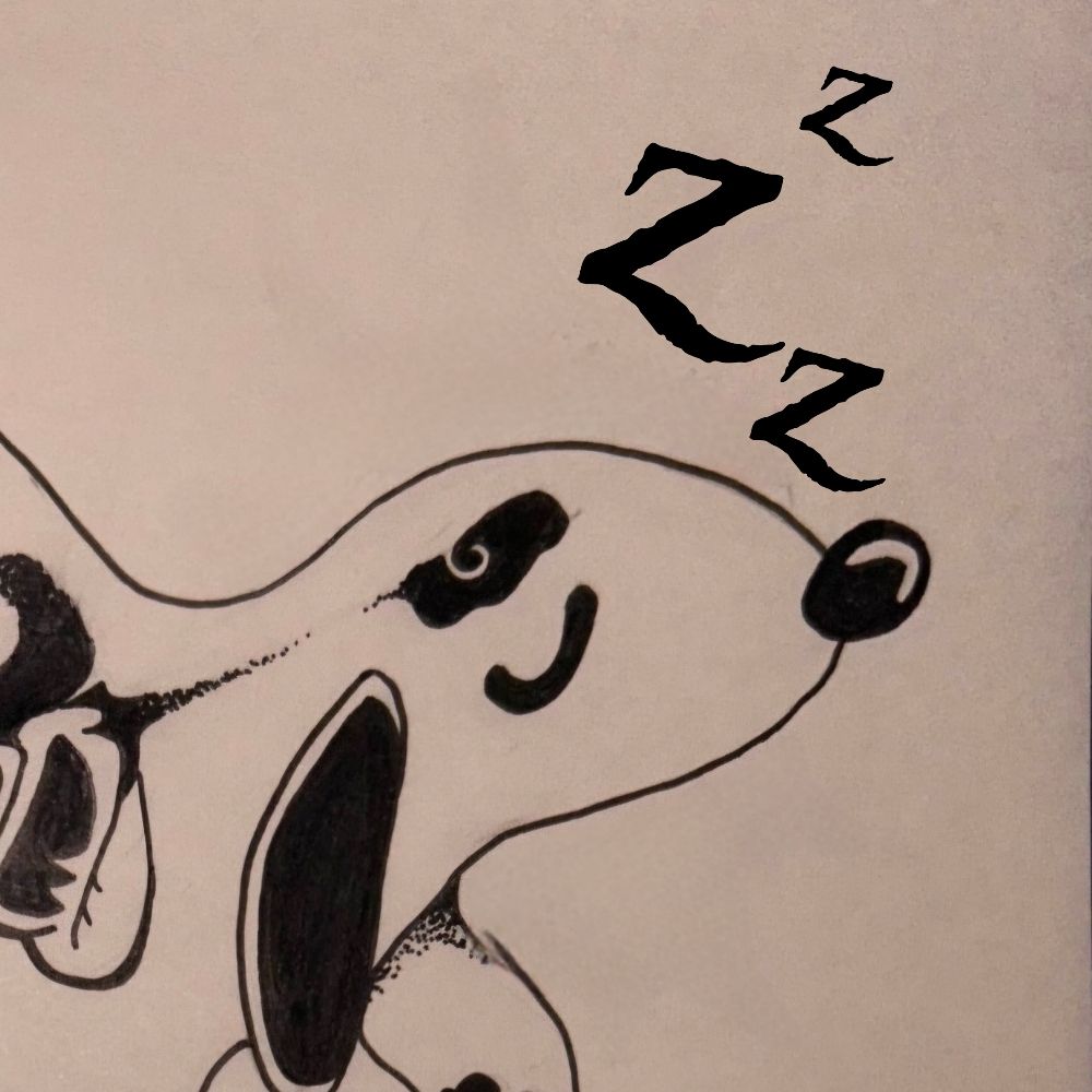 zZzephyr 💤