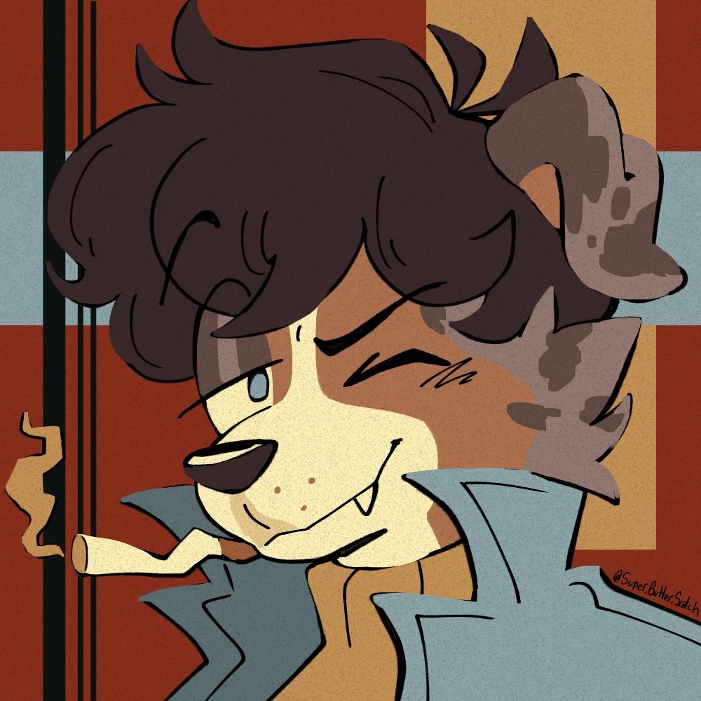 bummer dog