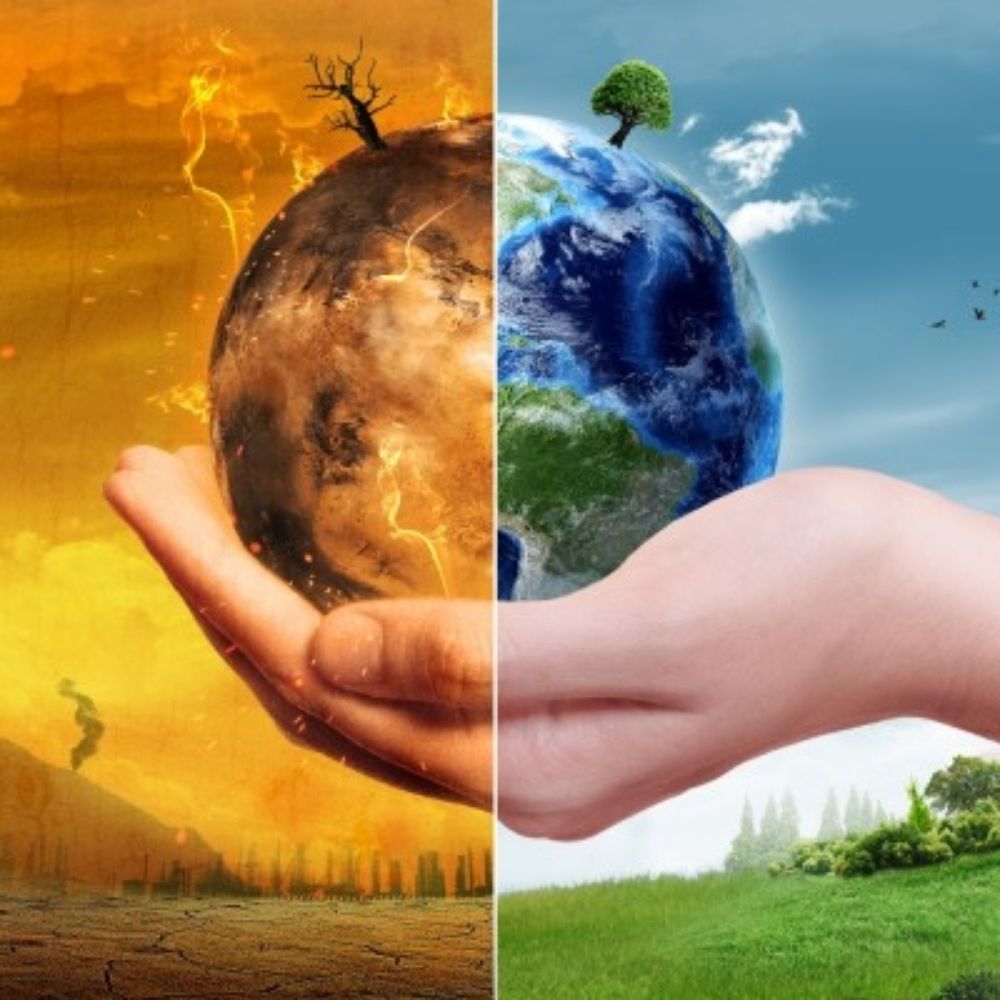 Warrior Planet Institute for Holistic Studies