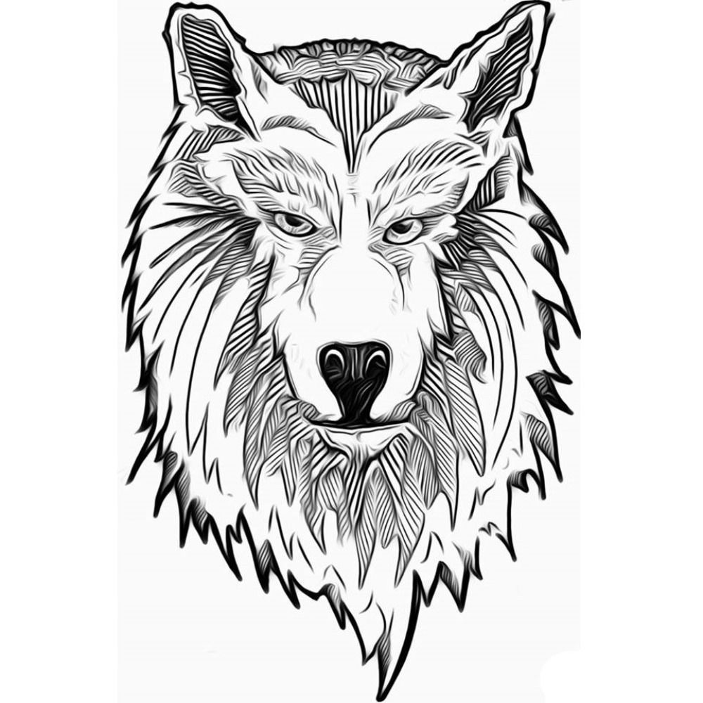 Palomino Wolf's avatar