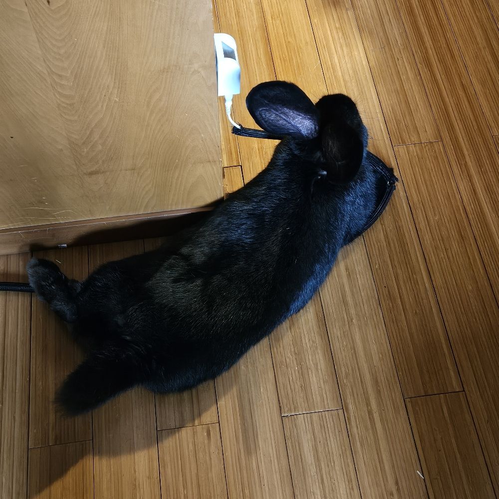 くろにす