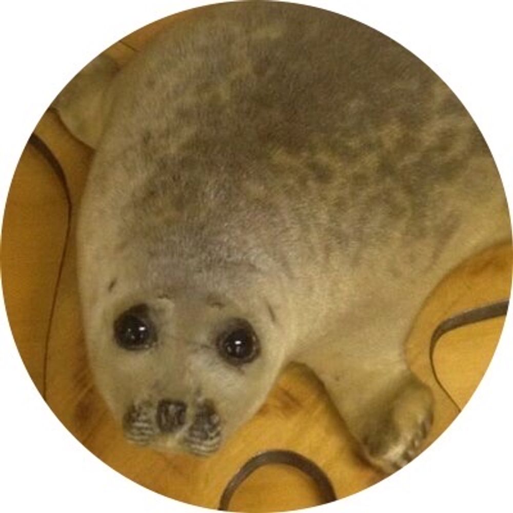 かずゑもん