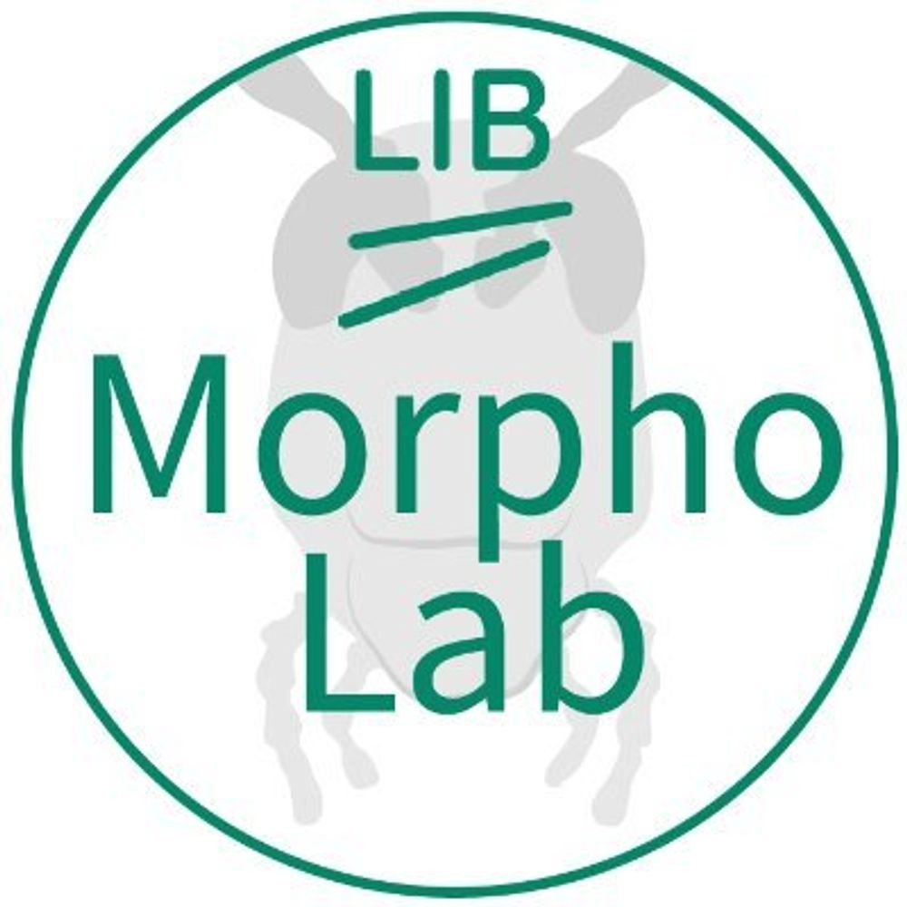 LIB-MorphoLab