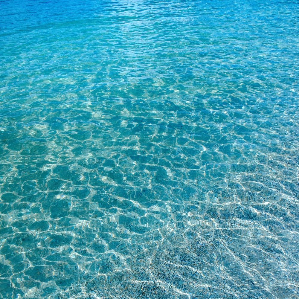 浅海