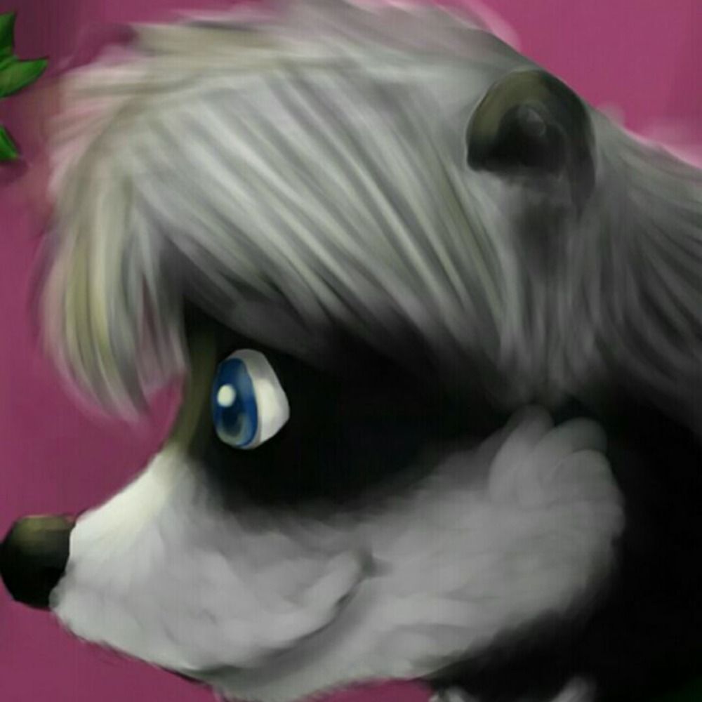 StripesTheSkunk