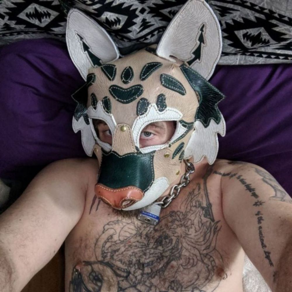 A Bound Lynx