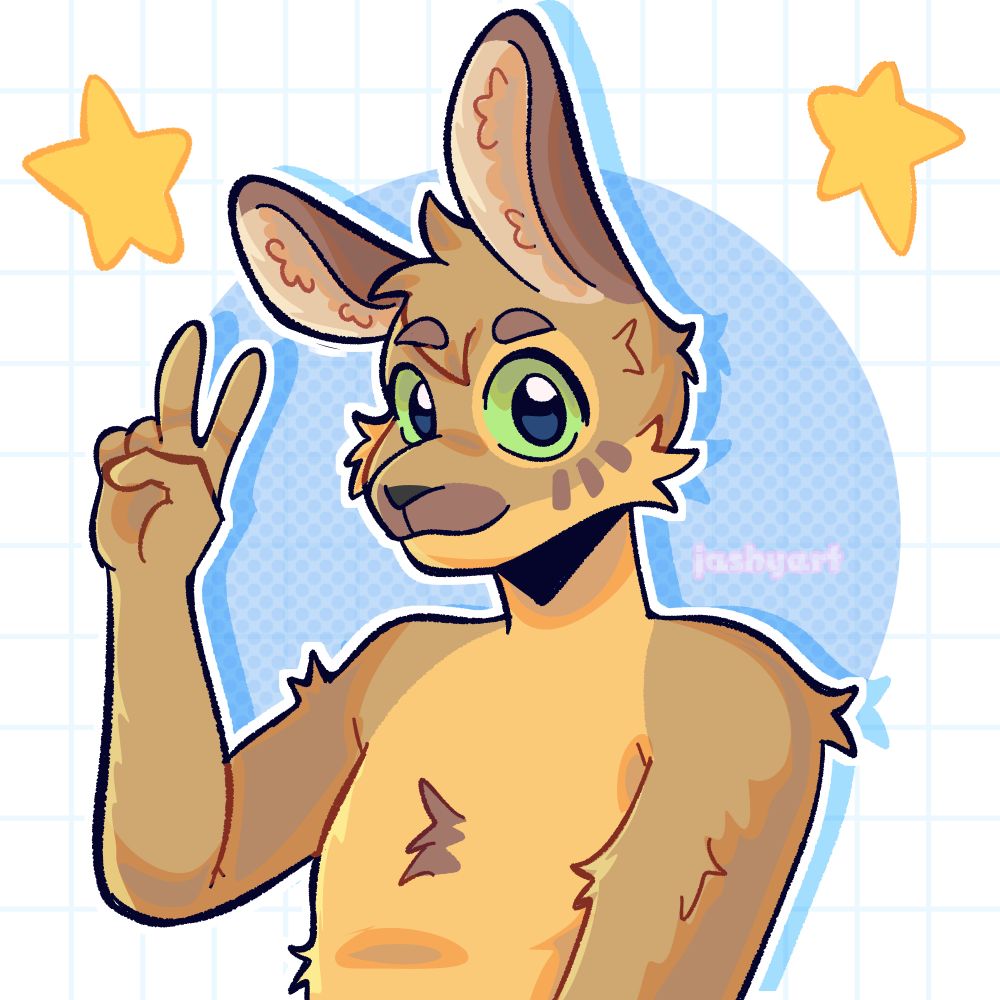 bear 🌟