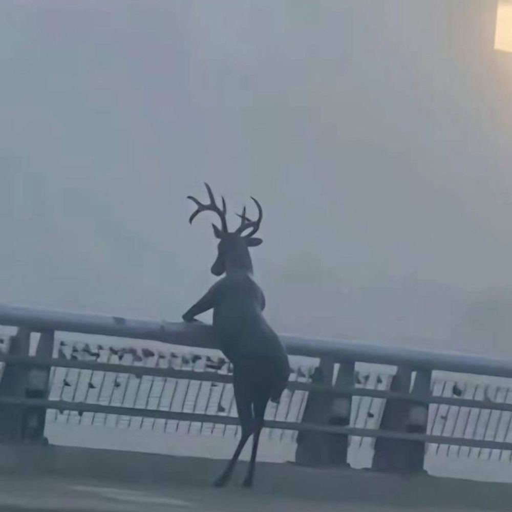 Nara