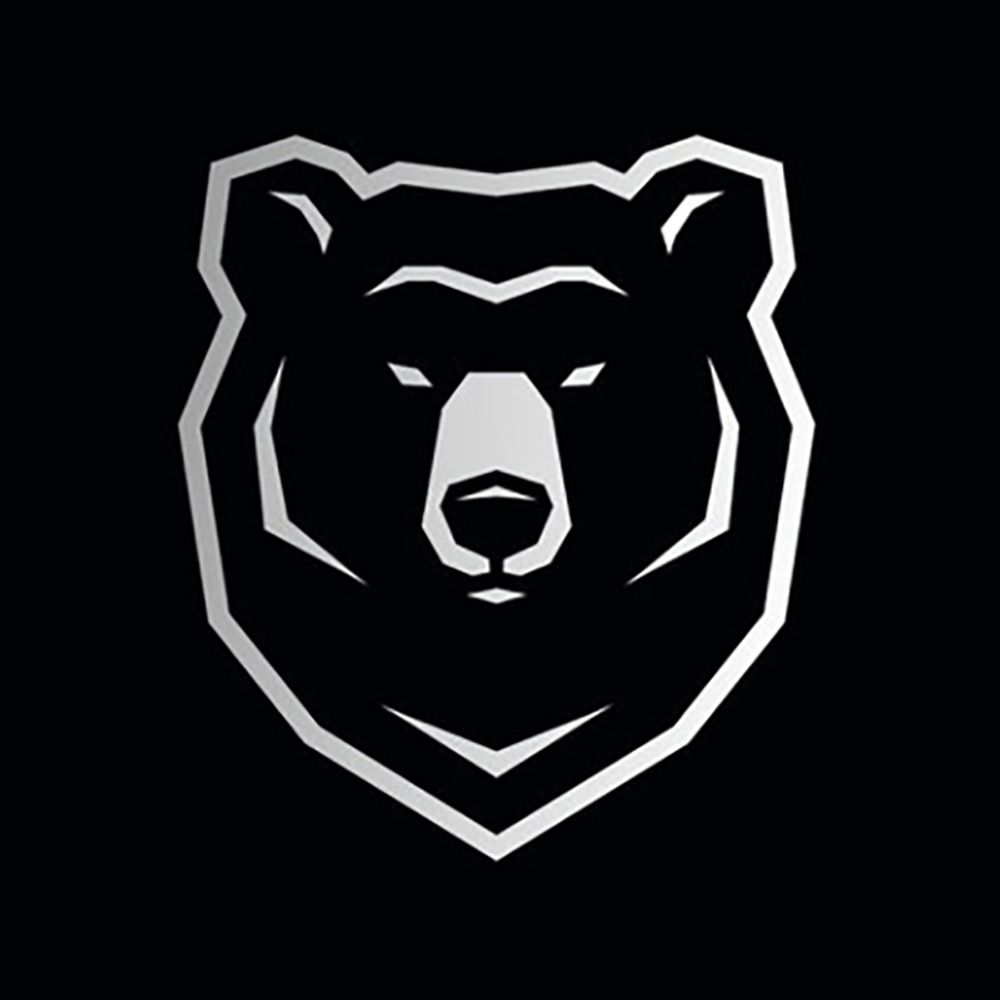 The Cold Bear
