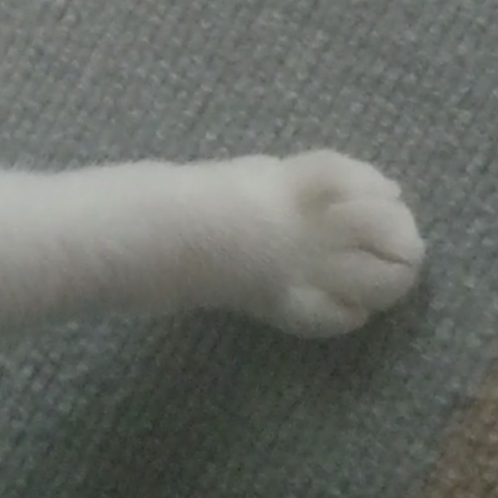 斜め