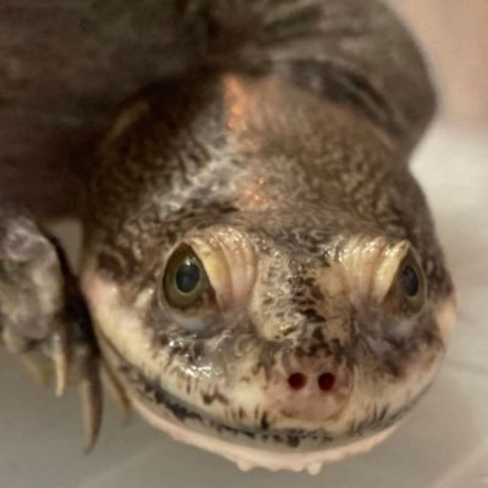 自然大好きサトボー