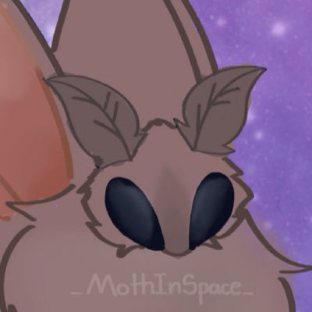 Moth