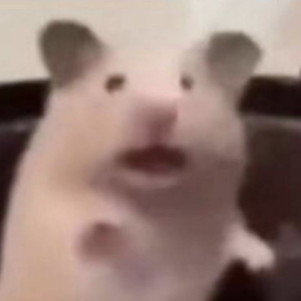 mpnasm