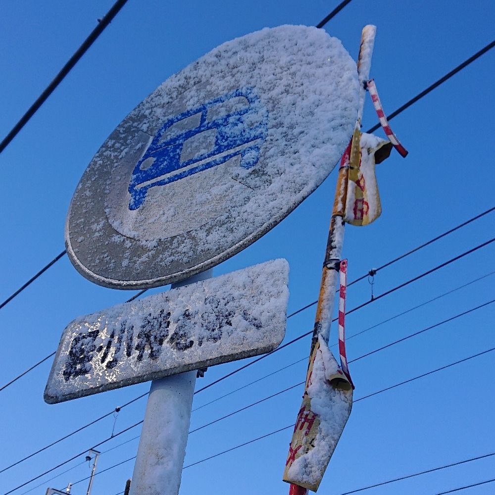 糖ぶどう