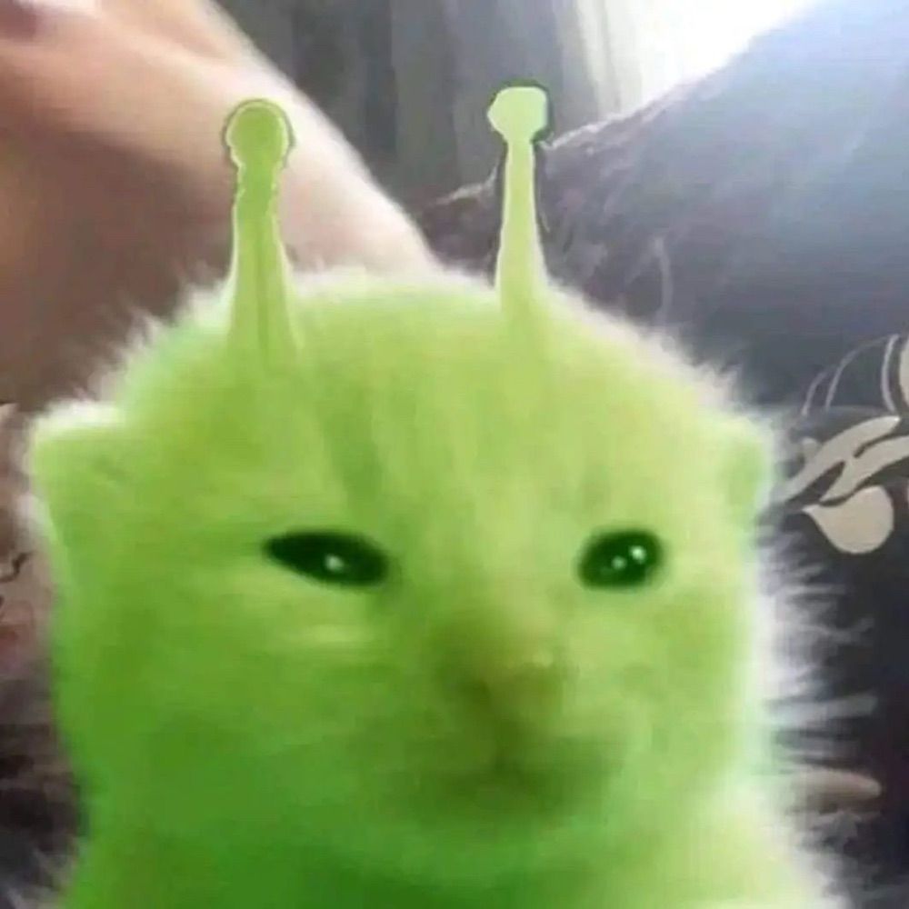 Ao 🛸 