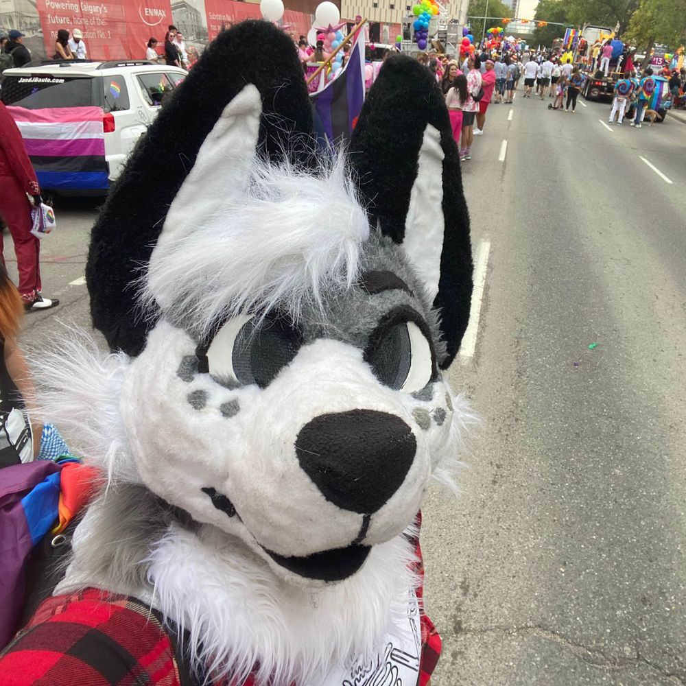 Shasta Flyer