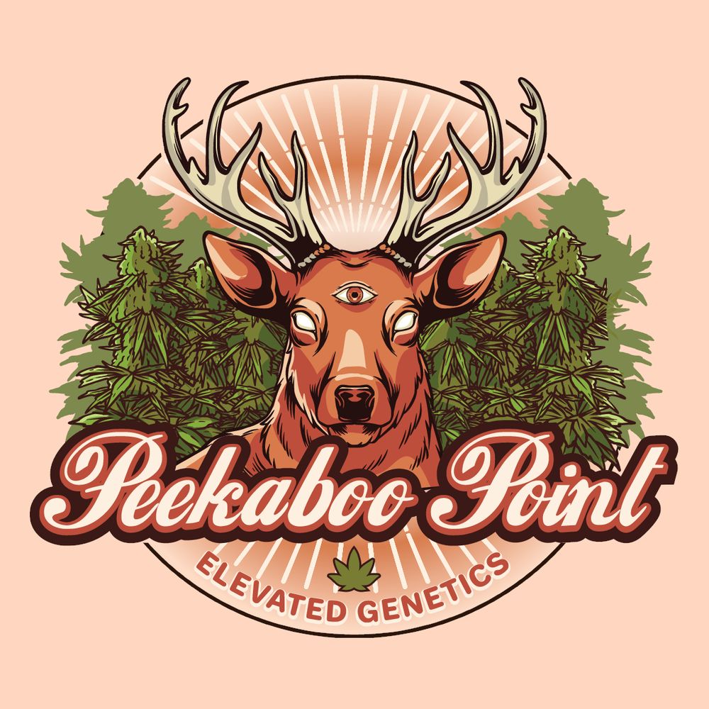 Peekaboo Point