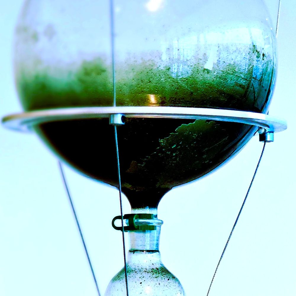 Psychedelic Science & Policy
