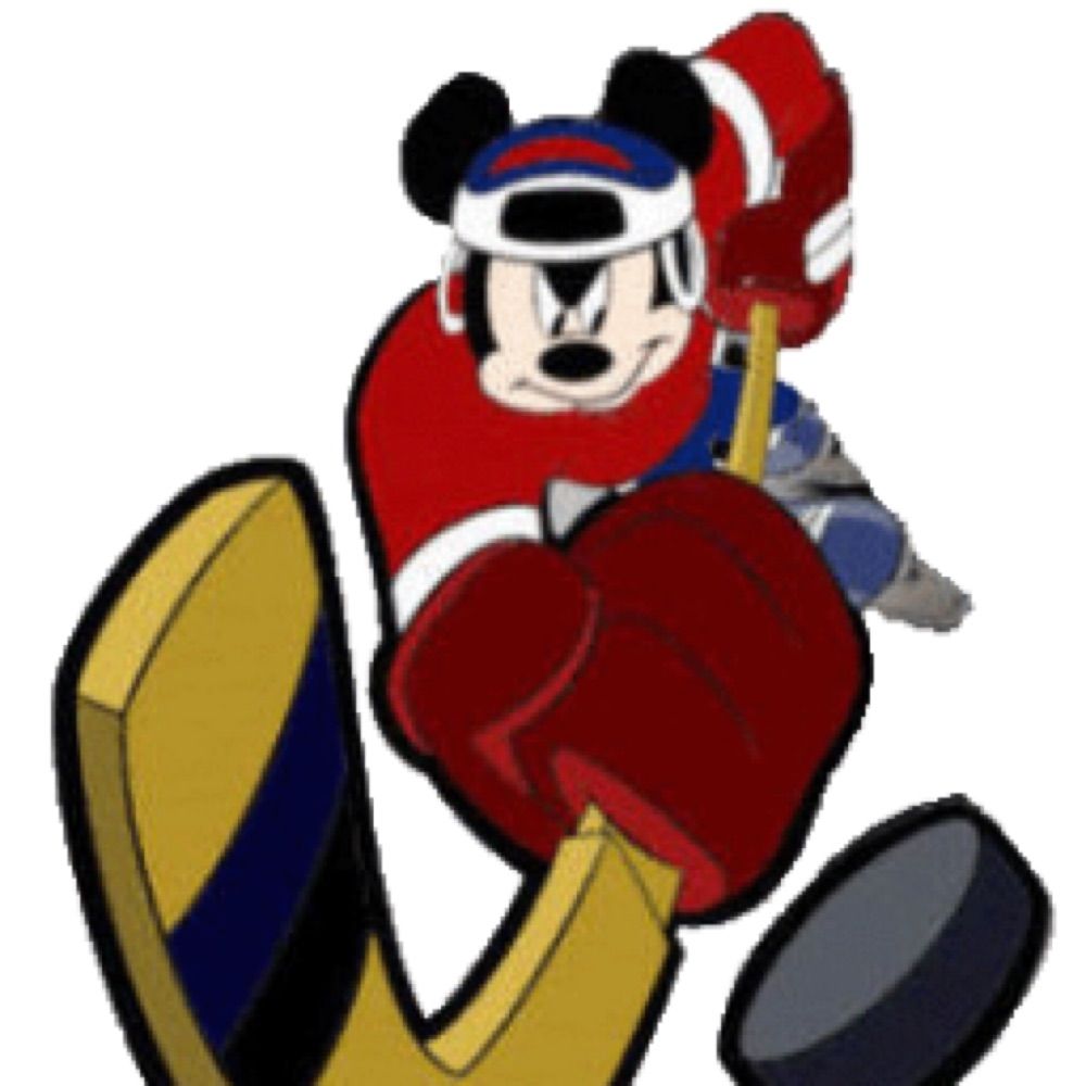 Profile picture mickeyhockey.bsky.social