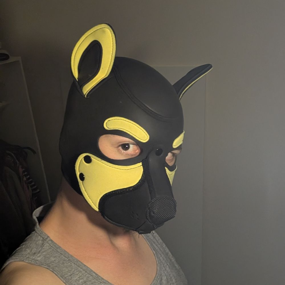 Pup Cinders