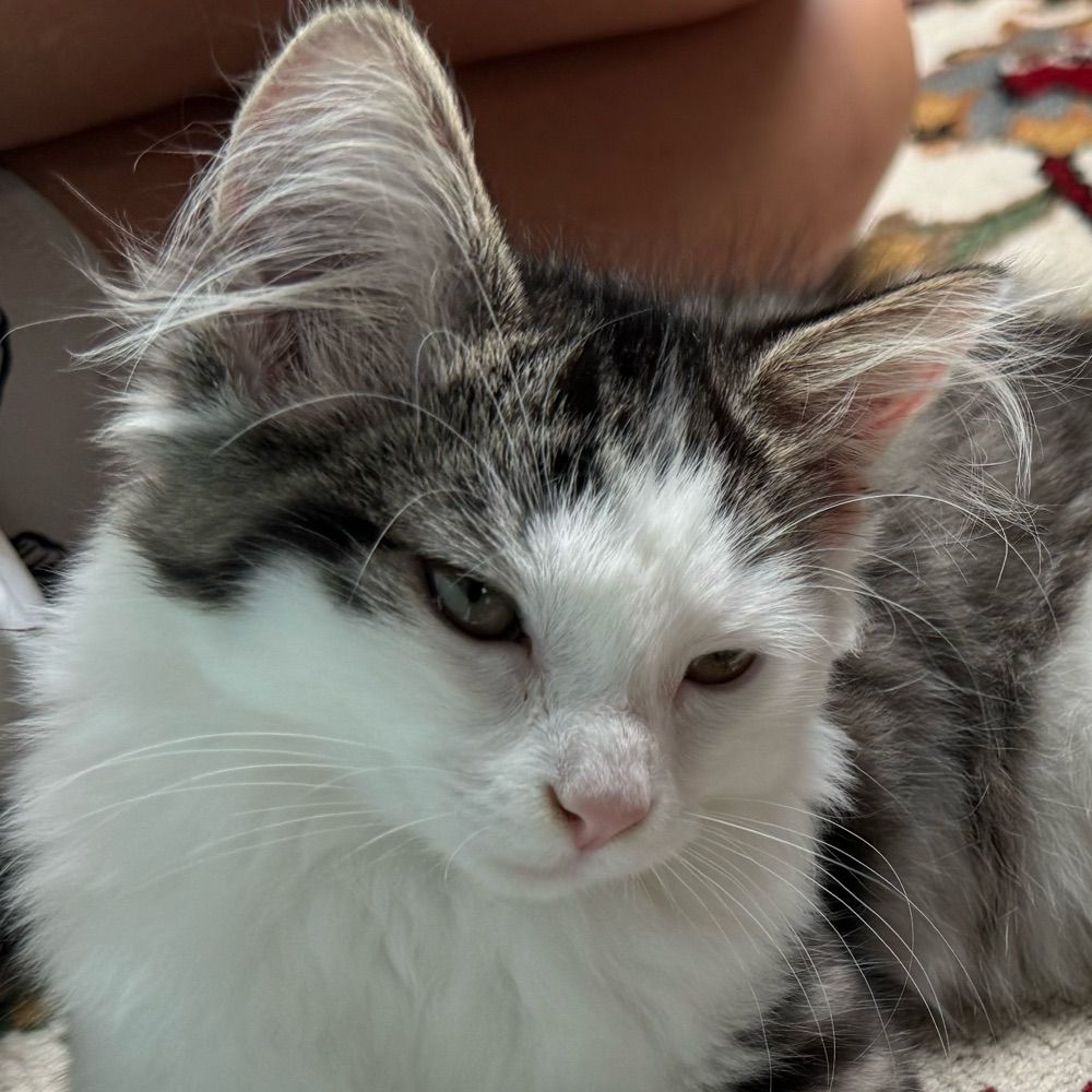 Truffster