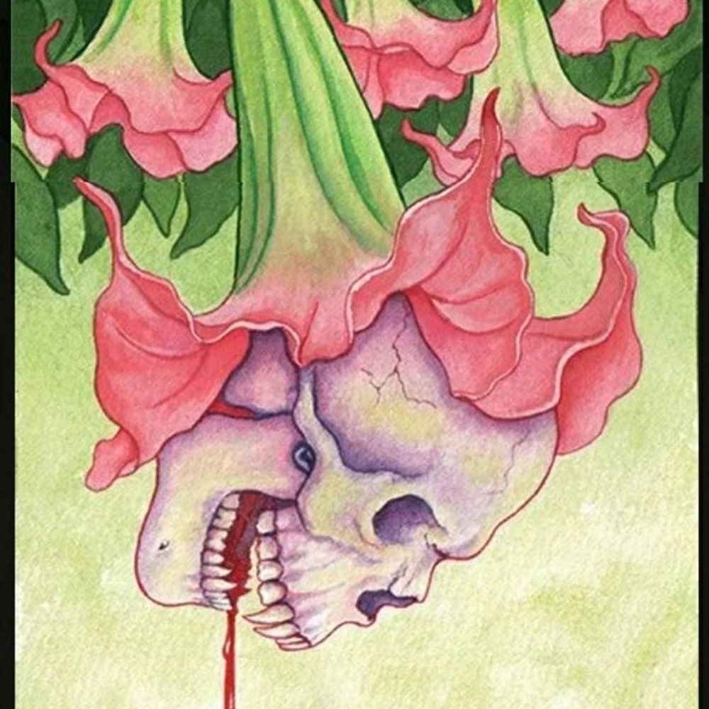 V🍄
