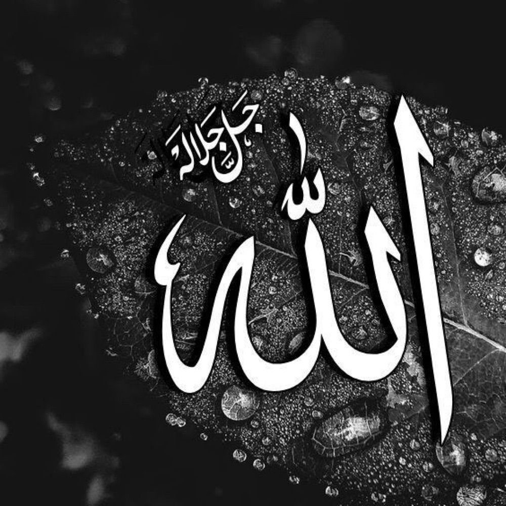 M JAMEEL