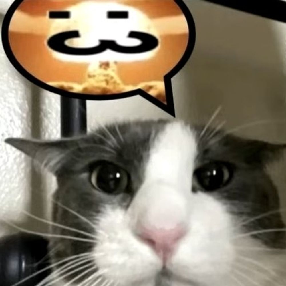 VH
